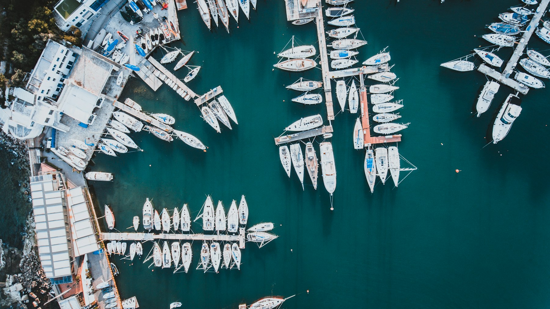 A Sarasota marina at capacity, every slip full